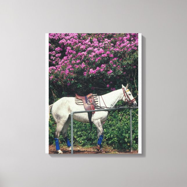 23893981 CANVAS PRINT (Front)