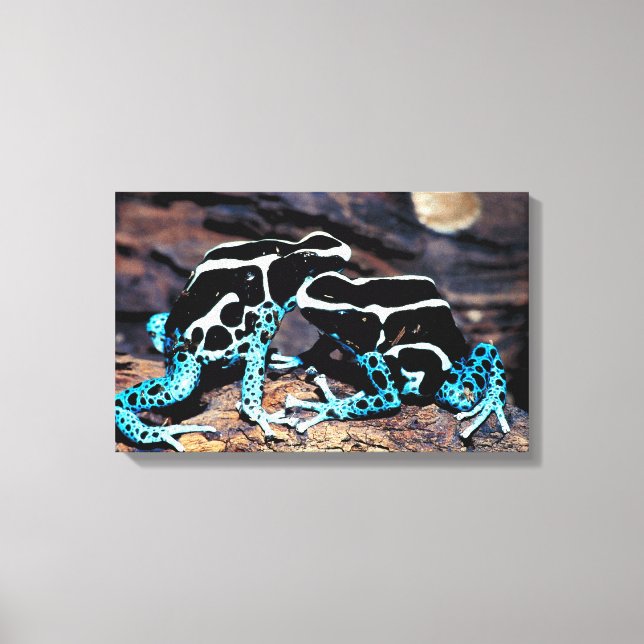 23898179 CANVAS PRINT (Front)