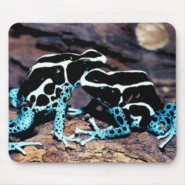 23898179 MOUSE PAD (Front)