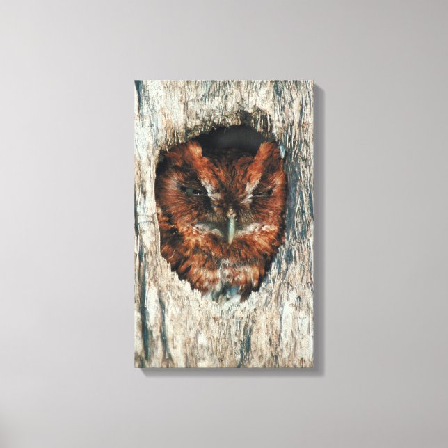 23899023 CANVAS PRINT (Front)