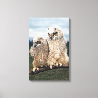 23899051 CANVAS PRINT