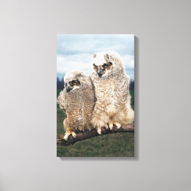 23899051 CANVAS PRINT (Front)