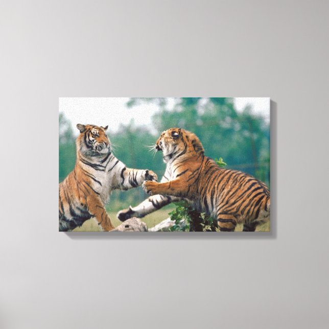 23899157 CANVAS PRINT (Front)
