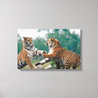 23899157 CANVAS PRINT
