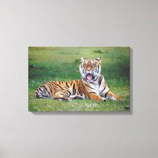 23899167 CANVAS PRINT