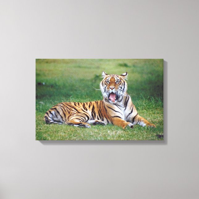 23899167 CANVAS PRINT (Front)
