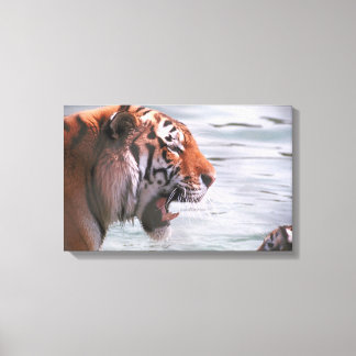 23899262 CANVAS PRINT