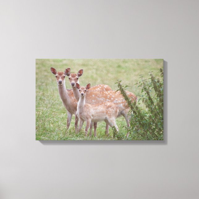 23899263 CANVAS PRINT (Front)