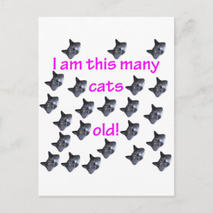 23 Cat Heads Old Postcard