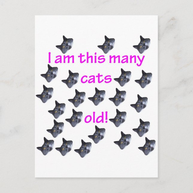 23 Cat Heads Old Postcard (Front)