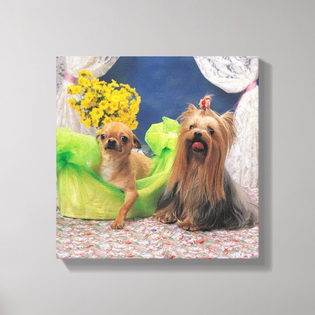24095240 CANVAS PRINT (Front)