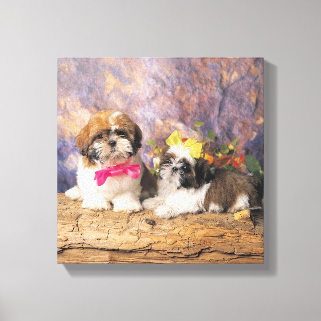24095243 CANVAS PRINT (Front)