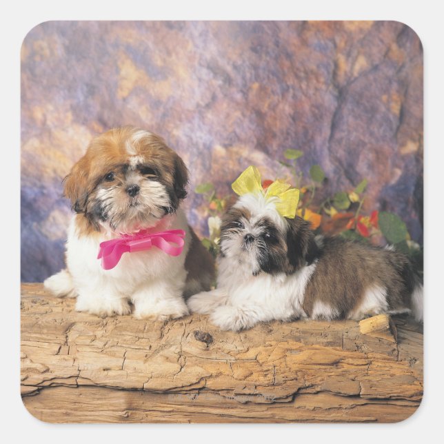 24095243 SQUARE STICKER (Front)