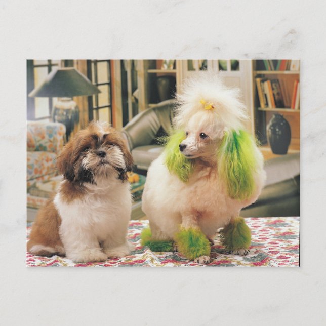 24095244 POSTCARD (Front)
