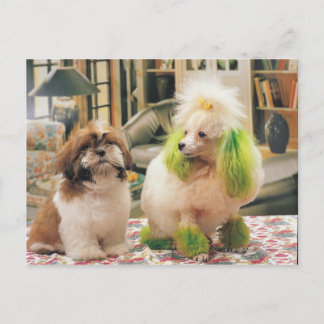 24095244 POSTCARD