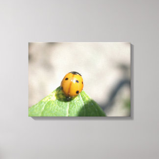 24102386 CANVAS PRINT