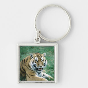 24103189 KEY RING