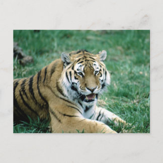 24103189 POSTCARD