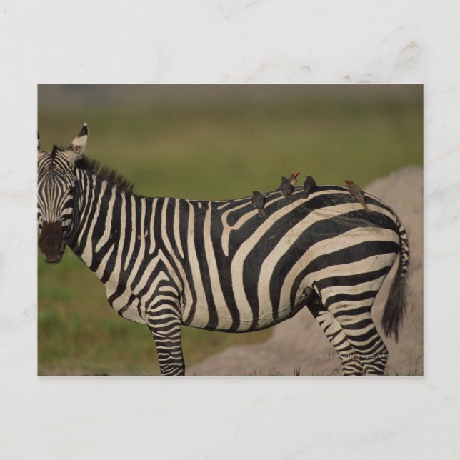 24109277 POSTCARD (Front)