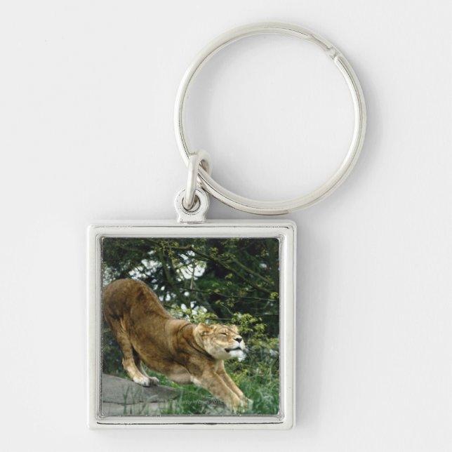 24114343 KEY RING (Front)