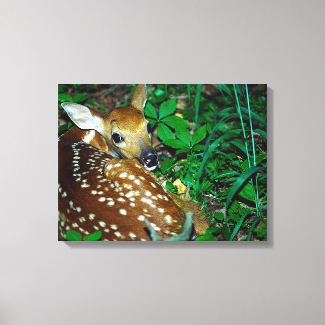 24114390 CANVAS PRINT (Front)