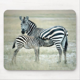 24114480 MOUSE PAD