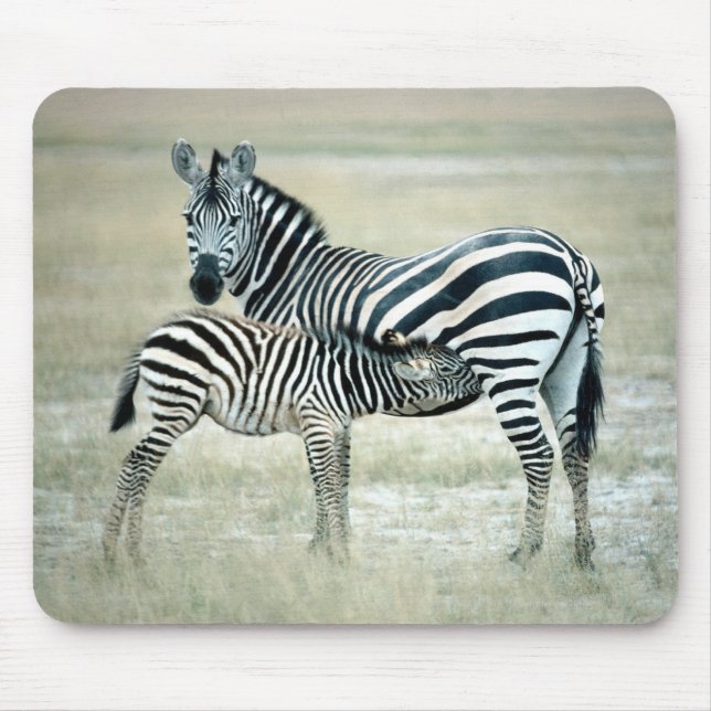 24114480 MOUSE PAD (Front)