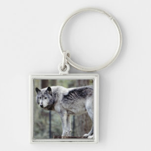 24114488 KEY RING
