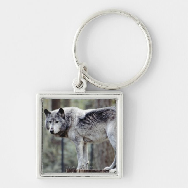 24114488 KEY RING (Front)