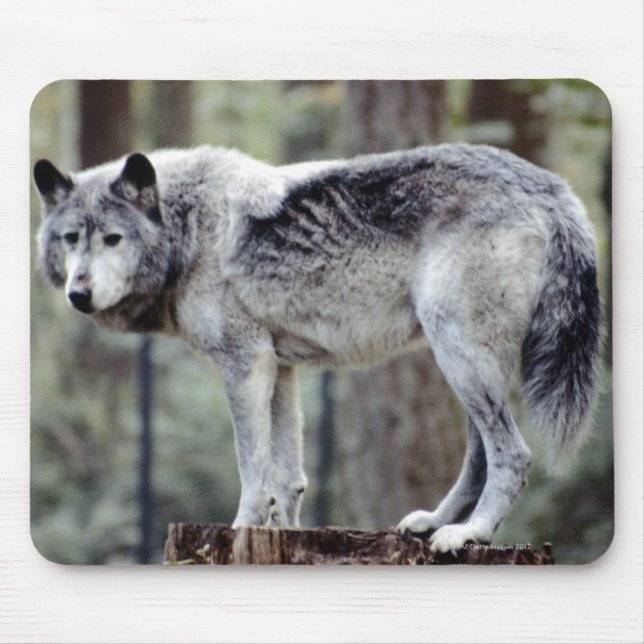 24114488 MOUSE PAD (Front)
