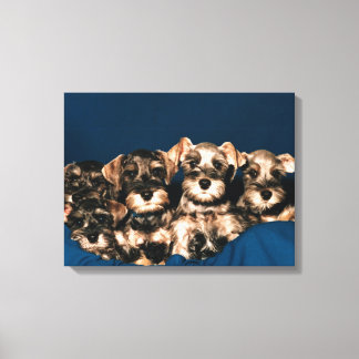 24117057 CANVAS PRINT