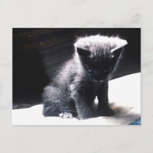 24117556 POSTCARD