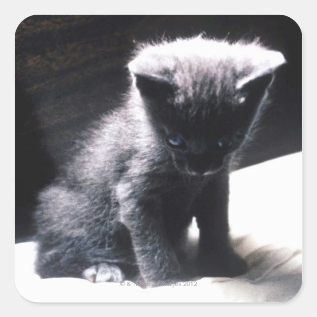 24117556 SQUARE STICKER (Front)