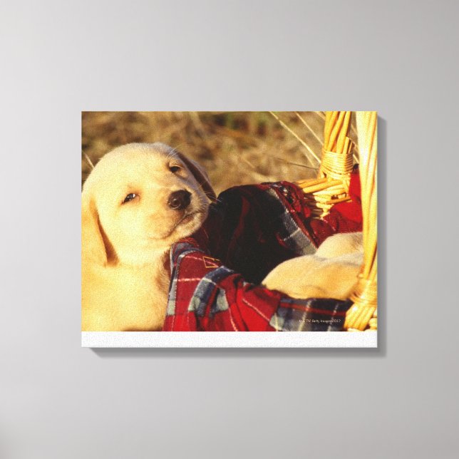 24117967 CANVAS PRINT (Front)