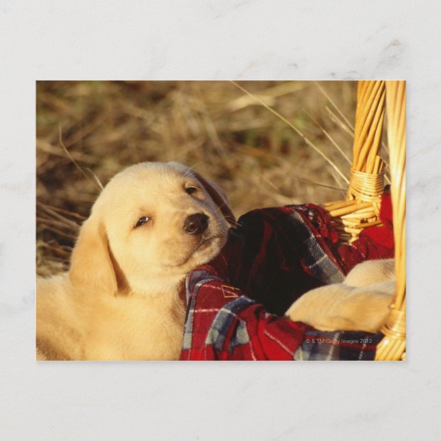 24117967 POSTCARD (Front)