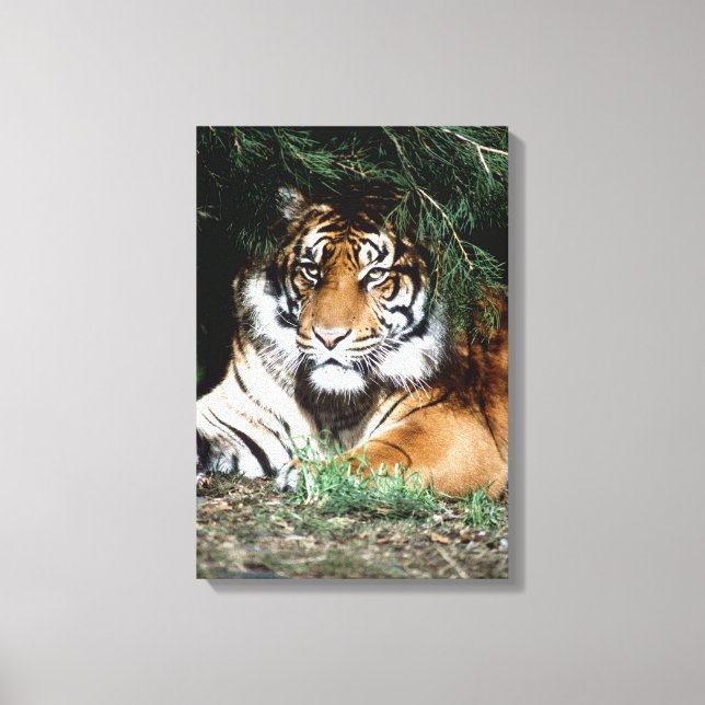 24121621 CANVAS PRINT (Front)