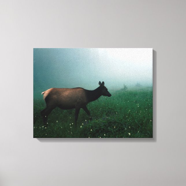 24121885 CANVAS PRINT (Front)