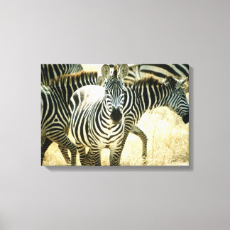 24123844 CANVAS PRINT