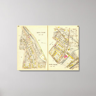 24-25 White Plains Canvas Print