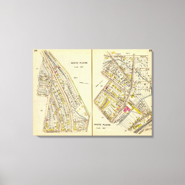 24-25 White Plains Canvas Print (Front)