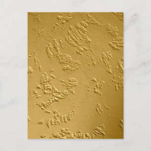 24 Karat Gold Personalised Postcard