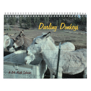 24-Month Darling Donkey Calendar