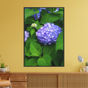 24"x36" Lavender Hydrangea Canvas Print