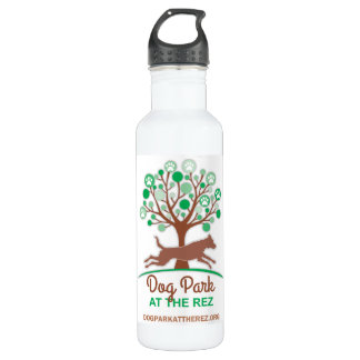 24oz Stainless Steel Water Bottle