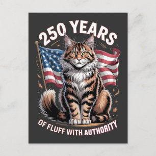 250 Years of Fluff With Authority Maine Coon Postcard