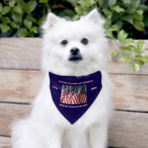 250th Anniversary USA Patriotic Flags Paper