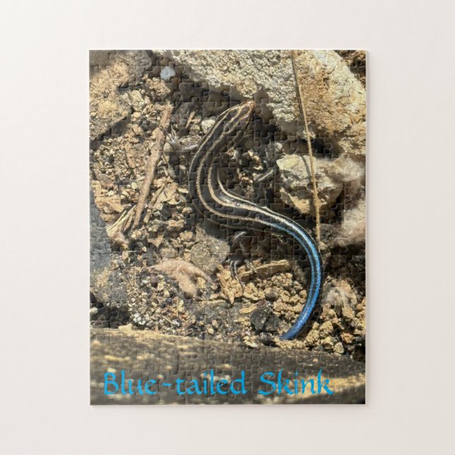 252 piece puzzle (Vertical)