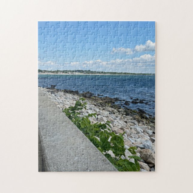 252 piece puzzle (Vertical)