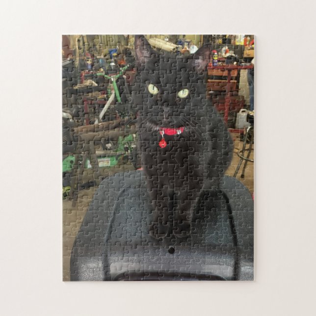 252 piece Puzzle (Vertical)