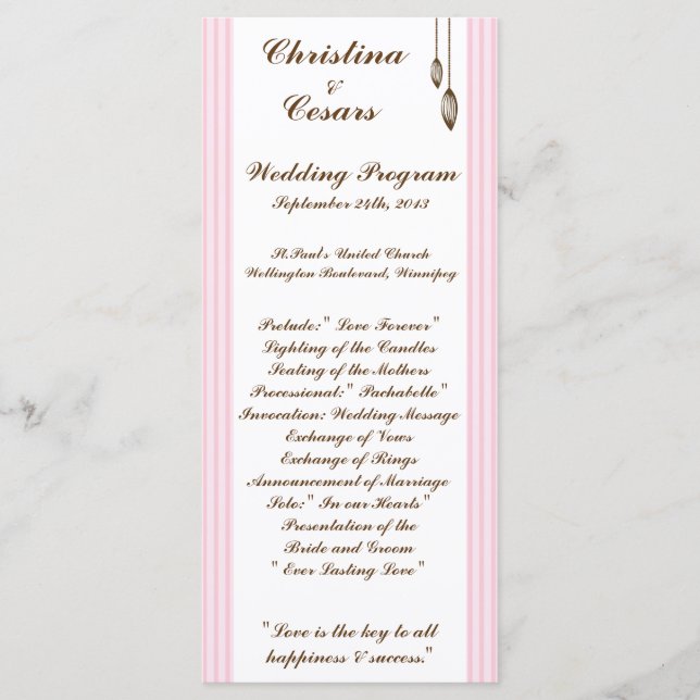 25 4x9 Wedding Program Birdcage/Pink Stripes cage Programme (Front)